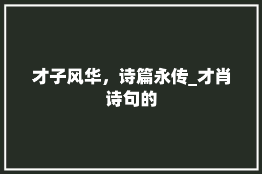 才子风华，诗篇永传_才肖诗句的 商业计划书范文