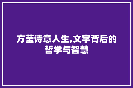 方莹诗意人生,文字背后的哲学与智慧 职场应用