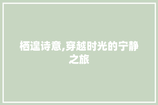 栖遑诗意,穿越时光的宁静之旅 范文之家