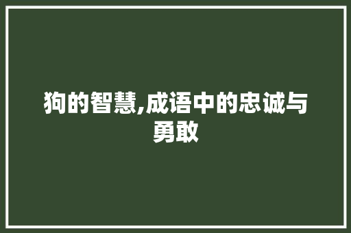 狗的智慧,成语中的忠诚与勇敢 范文之家