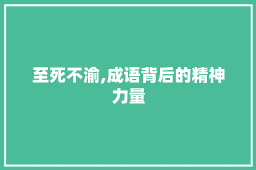 至死不渝,成语背后的精神力量 范文参考