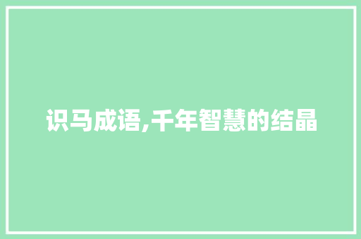 识马成语,千年智慧的结晶