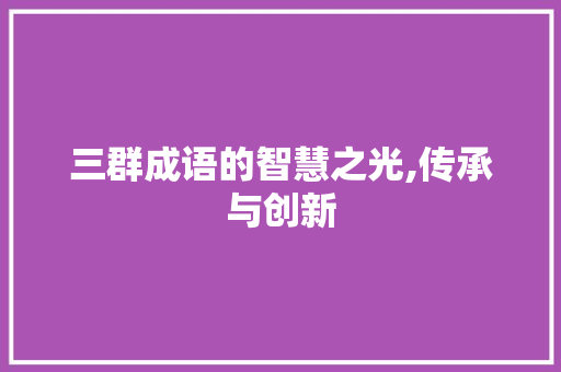 三群成语的智慧之光,传承与创新