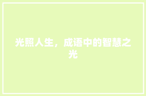 光照人生，成语中的智慧之光 范文资源