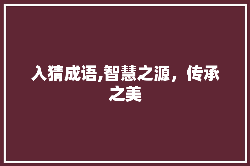 入猜成语,智慧之源，传承之美