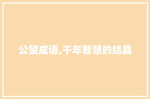 公望成语,千年智慧的结晶