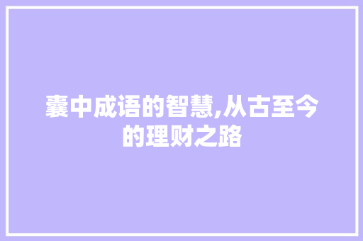 囊中成语的智慧,从古至今的理财之路