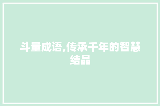 斗量成语,传承千年的智慧结晶 范文参考