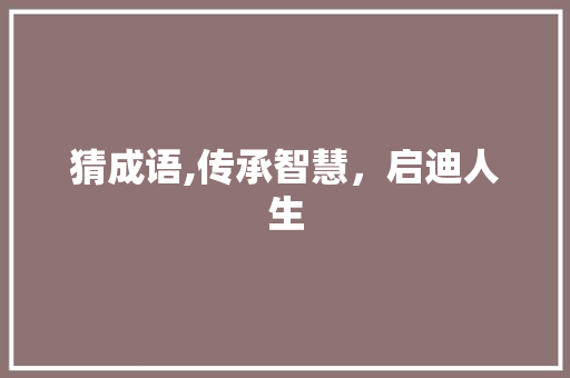猜成语,传承智慧，启迪人生