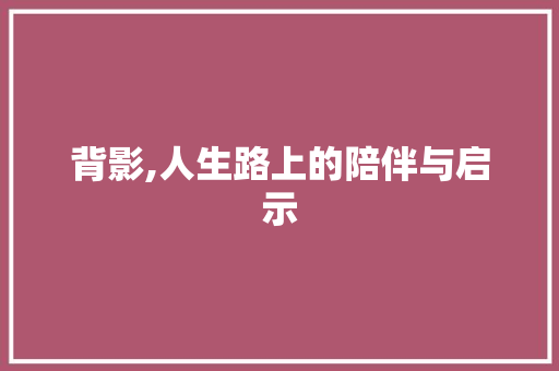 背影,人生路上的陪伴与启示 合同协议