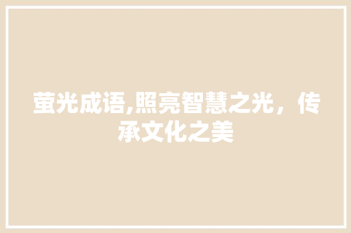 萤光成语,照亮智慧之光，传承文化之美 范文宝典