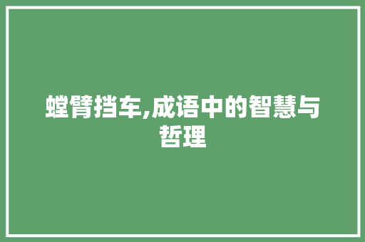 螳臂挡车,成语中的智慧与哲理