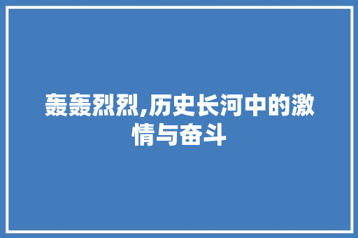 轰轰烈烈,历史长河中的激情与奋斗 范文精选网