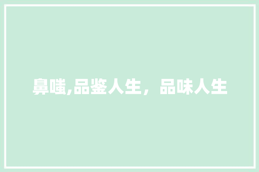 鼻嗤,品鉴人生，品味人生 合同协议