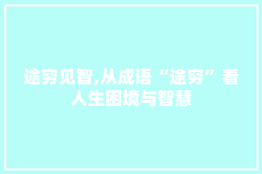 途穷见智,从成语“途穷”看人生困境与智慧 优秀范文