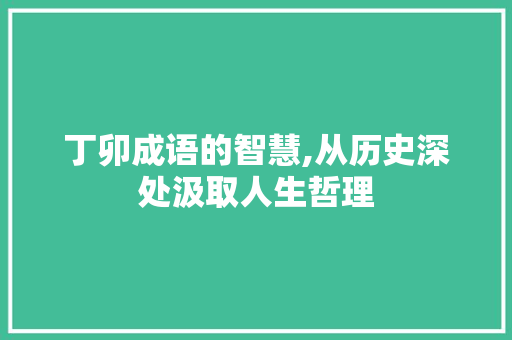 丁卯成语的智慧,从历史深处汲取人生哲理 范文参考