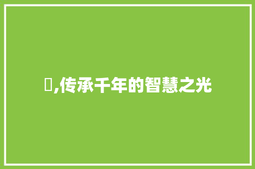 傤,传承千年的智慧之光 商业计划书范文