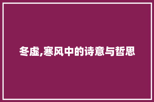 冬虚,寒风中的诗意与哲思