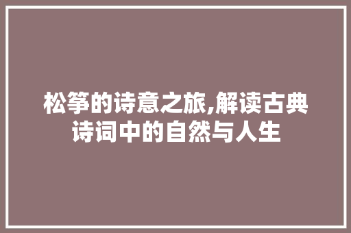 松筝的诗意之旅,解读古典诗词中的自然与人生