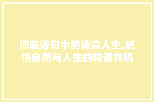 沛渥诗句中的诗意人生,感悟自然与人生的和谐共鸣