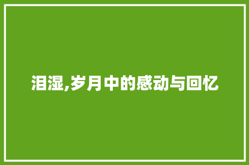 泪湿,岁月中的感动与回忆 职场应用