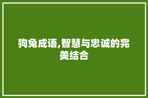 狗兔成语,智慧与忠诚的完美结合 范文精选网