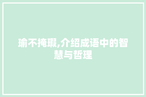 瑜不掩瑕,介绍成语中的智慧与哲理
