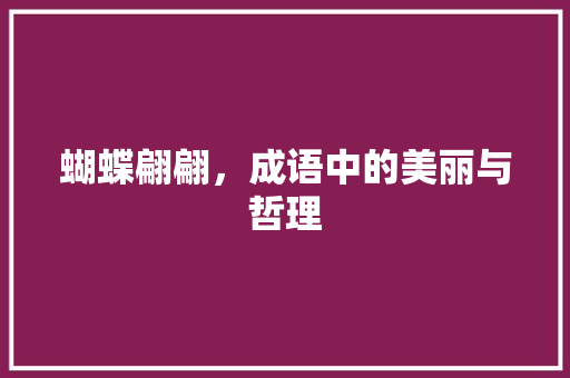 蝴蝶翩翩，成语中的美丽与哲理