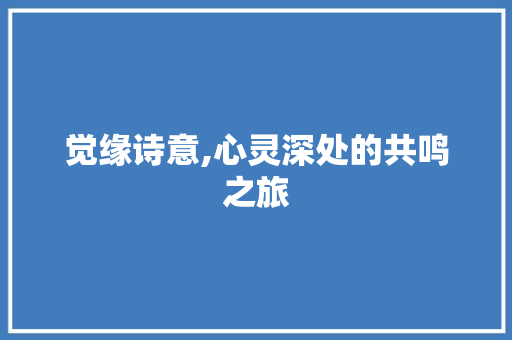 觉缘诗意,心灵深处的共鸣之旅