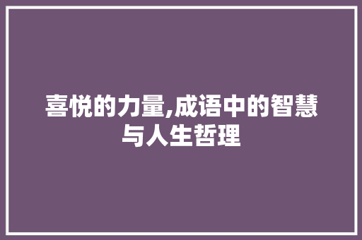 喜悦的力量,成语中的智慧与人生哲理 商业计划书范文