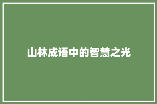 山林成语中的智慧之光 范文精选网