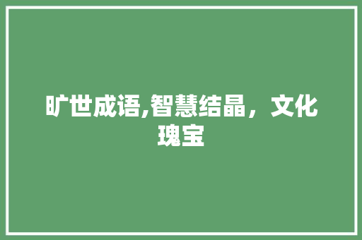 旷世成语,智慧结晶，文化瑰宝 职场应用