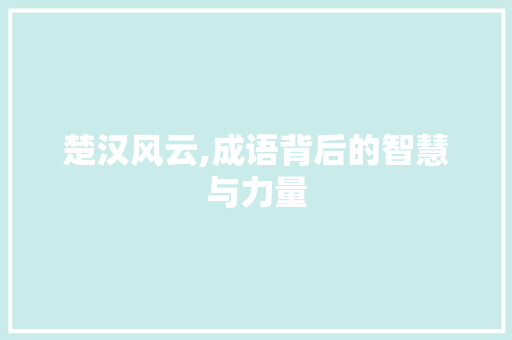 楚汉风云,成语背后的智慧与力量