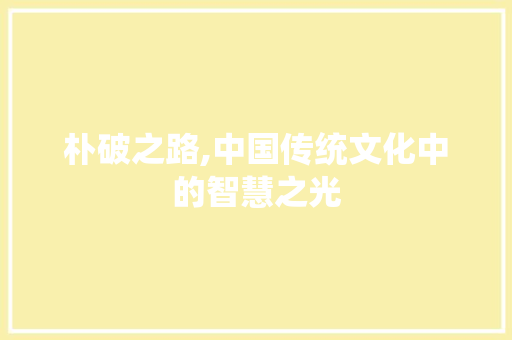 朴破之路,中国传统文化中的智慧之光 范文精选网