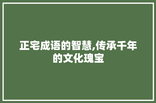 正宅成语的智慧,传承千年的文化瑰宝 商业计划书范文