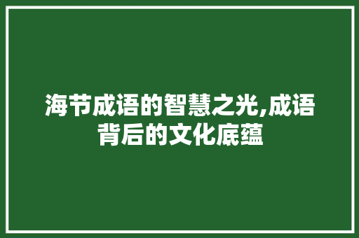 海节成语的智慧之光,成语背后的文化底蕴 优秀范文