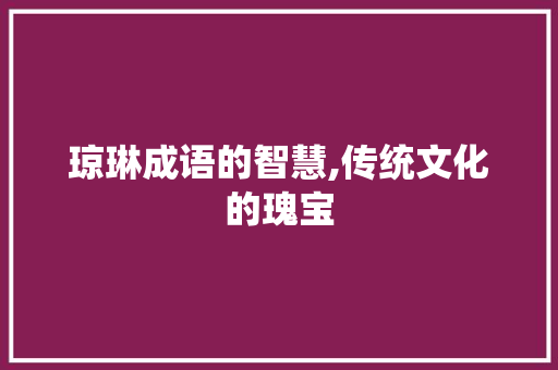 琼琳成语的智慧,传统文化的瑰宝 商业计划书范文