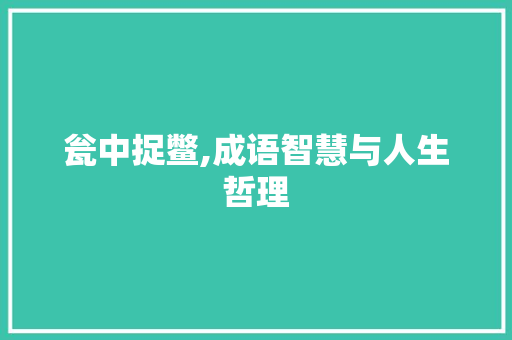 瓮中捉鳖,成语智慧与人生哲理
