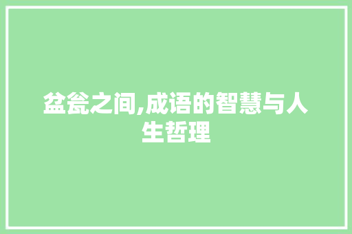 盆瓮之间,成语的智慧与人生哲理