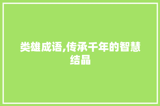 类雄成语,传承千年的智慧结晶