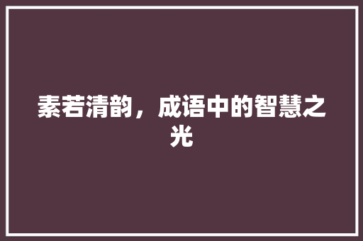 素若清韵，成语中的智慧之光 职场应用