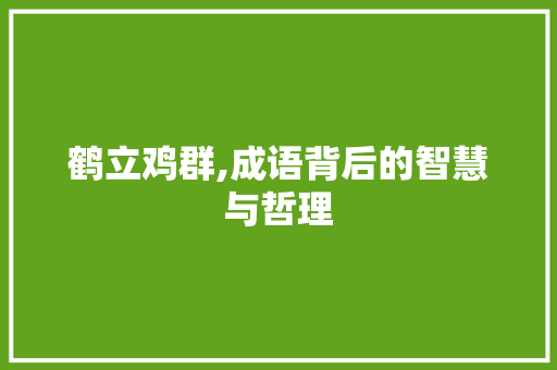 鹤立鸡群,成语背后的智慧与哲理 范文之家
