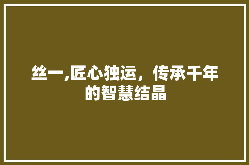 丝一,匠心独运，传承千年的智慧结晶 范文精选网