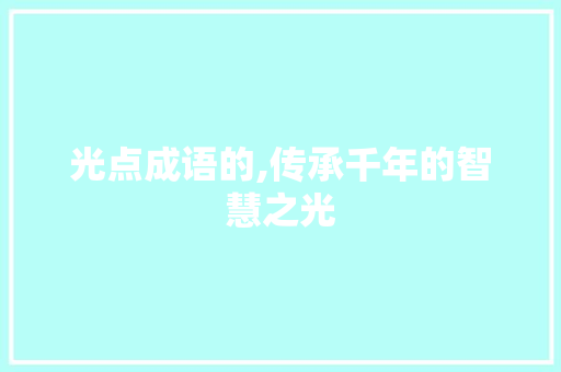 光点成语的,传承千年的智慧之光 职场应用