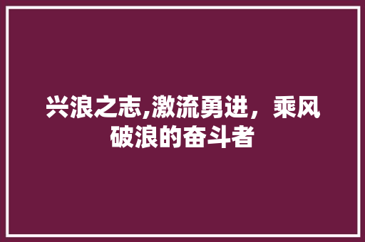 兴浪之志,激流勇进，乘风破浪的奋斗者 优秀范文