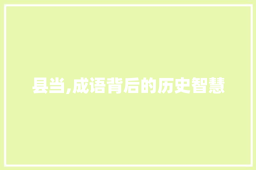 县当,成语背后的历史智慧 优秀范文