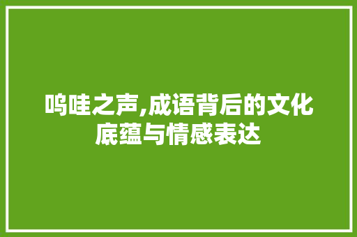 呜哇之声,成语背后的文化底蕴与情感表达