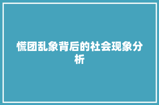 慌团乱象背后的社会现象分析 范文精选网