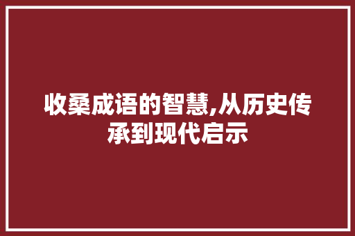 收桑成语的智慧,从历史传承到现代启示 范文精选网
