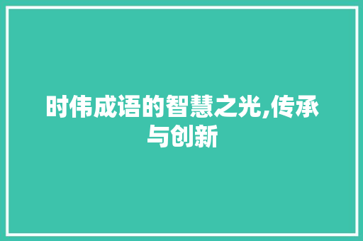 时伟成语的智慧之光,传承与创新